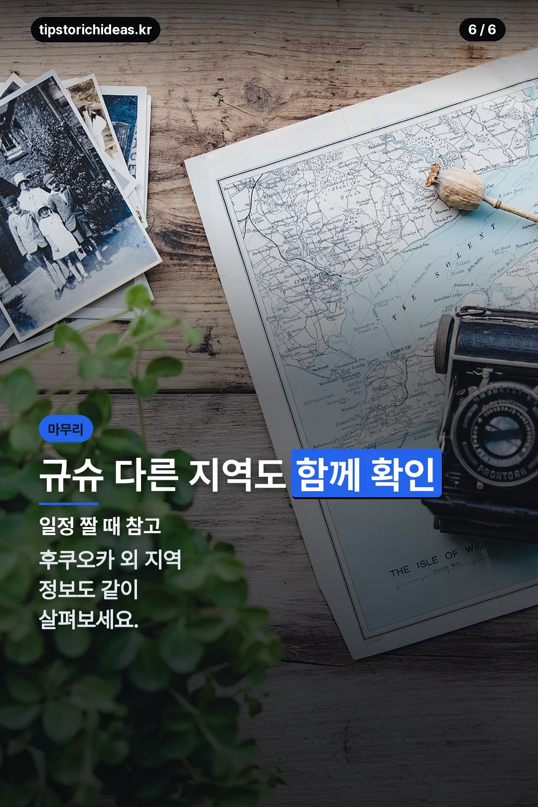 규슈 다른 지역 정보